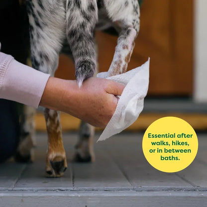 Fragrance-Free Pet Wipes